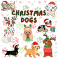 PRE-ORDER: Christmas Dogs Mystery Box