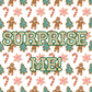 PRE-ORDER: Christmas Mystery Box- SURPRISE THEME- Maker’s Choice